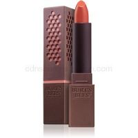 Burt’s Bees Glossy Lipstick lesklý rúž odtieň 503 Nude Mist 3,4 g