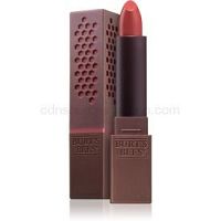 Burt’s Bees Glossy Lipstick lesklý rúž odtieň 504 Nude Rain 3,4 g