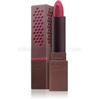Burt’s Bees Glossy Lipstick lesklý rúž odtieň 517 Pink Pool 3,4 g