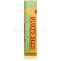Burt’s Bees Lip Care balzam na pery (with Cucumber & Mint) 4,25 g
