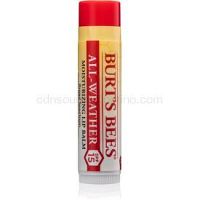 Burt’s Bees Lip Care hydratačný balzam na pery v tyčinke SPF 15  4,25 ml