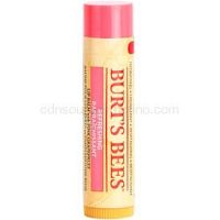 Burt’s Bees Lip Care osviežujúci balzam na pery (with Pink Grapefruit) 4,25 g