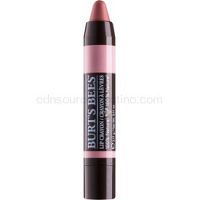 Burt’s Bees Lip Crayon rúž v ceruzke s matným efektom odtieň 405 Sedona Sands 3,1 g