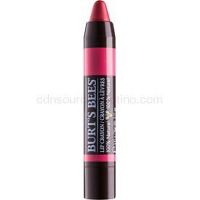 Burt’s Bees Lip Crayon rúž v ceruzke s matným efektom odtieň 417 Niagara Overlook 3,1 g