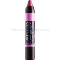 Burt’s Bees Lip Crayon rúž v ceruzke s matným efektom odtieň 423 Carolina Coast 3,1 g