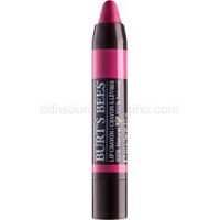 Burt’s Bees Lip Crayon rúž v ceruzke s matným efektom odtieň 429 Hawaiian Smolder 3,1 g