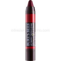 Burt’s Bees Lip Crayon rúž v ceruzke s matným efektom odtieň 435 Napa Vineyard 3,1 g