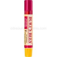 Burt’s Bees Lip Shimmer lesk na pery odtieň Rhubarb 2,6 g