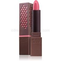 Burt’s Bees Satin Lipstick saténový rúž odtieň 510 Iced Iris 3,4 g