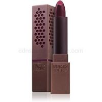 Burt’s Bees Satin Lipstick saténový rúž odtieň 531 Juniper Water 3,4 g