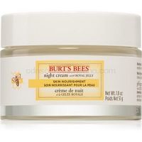 Burt’s Bees Skin Nourishment intenzívne vyživujúci nočný krém pre normálnu až zmiešanú pleť 51 g