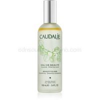 Caudalie Beauty Elixir skrášľujúci elixír pre žiarivý vzhľad pleti 100 ml