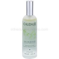Caudalie Beauty Elixir skrášľujúci elixír pre žiarivý vzhľad pleti  100 ml