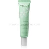 Caudalie Vinopure zmatňujúci pleťový fluid 40 ml