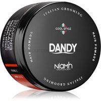 DANDY Shaping Pomade tvarujúca pomáda na vlasy 100 ml