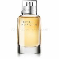 Davidoff Horizon toaletná voda pre mužov 40 ml