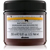 Davines Naturaltech Nourishing maska pre suché a poškodené vlasy 250 ml