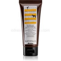 Davines Naturaltech Nourishing maska pre suché a poškodené vlasy 60 ml