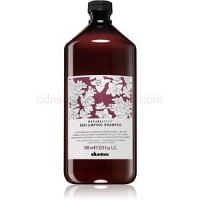 Davines Naturaltech Replumping hydratačný šampón 1000 ml