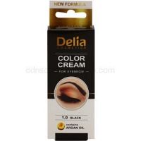 Delia Cosmetics Argan Oil farba na obočie odtieň 1.0 Black 15 ml