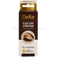 Delia Cosmetics Argan Oil farba na obočie odtieň 3.0 Dark Brown 15 ml