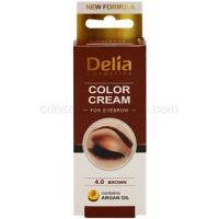 Delia Cosmetics Argan Oil farba na obočie odtieň 4.0 Brown 15 ml