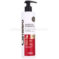 Delia Cosmetics Cameleo BB keratínový šampón pre farbené a melírované vlasy 250 ml