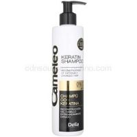 Delia Cosmetics Cameleo BB keratínový šampón pre poškodené vlasy 250 ml
