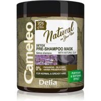 Delia Cosmetics Cameleo Natural pred-šampónová starostlivosť pre mastné vlasy 250 ml