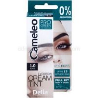 Delia Cosmetics Cameleo Pro Green farba na obočie bez amoniaku odtieň 1.0 Black 15 ml