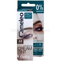 Delia Cosmetics Cameleo Pro Green farba na obočie bez amoniaku odtieň 4.0 Brown 15 ml