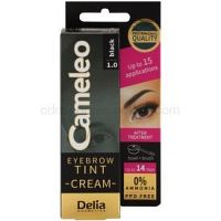 Delia Cosmetics Cameleo profesionálna krémová farba na obočie bez amoniaku odtieň 1.0 Black 15 ml