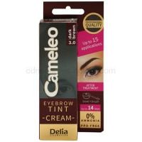 Delia Cosmetics Cameleo profesionálna krémová farba na obočie bez amoniaku odtieň 3.0 Dark Brown 15 ml