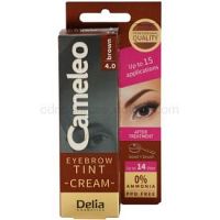 Delia Cosmetics Cameleo profesionálna krémová farba na obočie bez amoniaku odtieň 4.0 Brown 15 ml