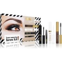 Delia Cosmetics Eyebrow Expert Brown kozmetická sada IV. (na obočie)