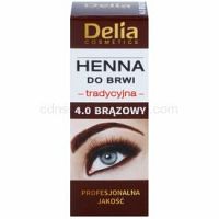 Delia Cosmetics Henna farba na obočie odtieň 4.0 Brown 2 g + 2 ml
