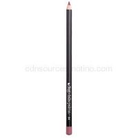 Diego dalla Palma Lip Pencil ceruzka na pery  odtieň 84 1,83 g