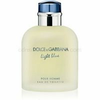 Dolce & Gabbana Light Blue Pour Homme toaletná voda pre mužov 125 ml  