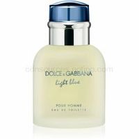 Dolce & Gabbana Light Blue Pour Homme toaletná voda pre mužov 40 ml  