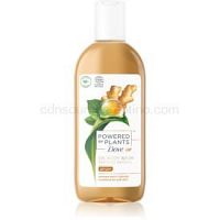 Dove Powered by Plants Ginger sprchový olej 250 ml