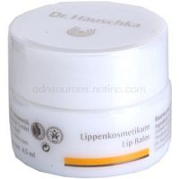 Dr. Hauschka Eye And Lip Care vyživujúci balzam na pery  4,5 ml