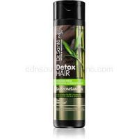 Dr. Santé Detox Hair intenzívne regeneračný šampón 250 ml