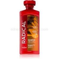 Farmona Radical Dry & Brittle Hair regeneračný šampón 400 ml
