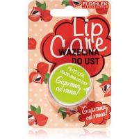 FlosLek Laboratorium Lip Care vazelína na pery 15 g