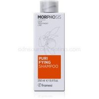 Framesi Morphosis Purifying šampón proti lupinám 250 ml