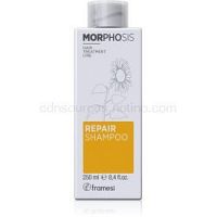 Framesi Morphosis Repair vyživujúci šampón 250 ml