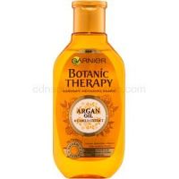 Garnier Botanic Therapy Argan Oil vyživujúci šampón pre normálne vlasy bez lesku 250 ml