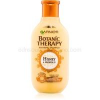 Garnier Botanic Therapy Honey obnovujúci šampón pre poškodené vlasy 250 ml