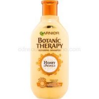 Garnier Botanic Therapy Honey obnovujúci šampón pre poškodené vlasy 400 ml