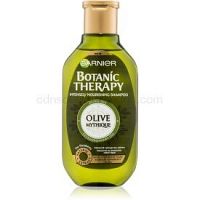 Garnier Botanic Therapy Olive vyživujúci šampón pre suché a poškodené vlasy 250 ml